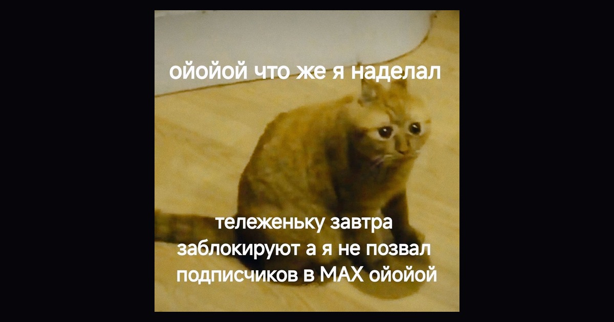 Как привлечь аудиторию в MAX